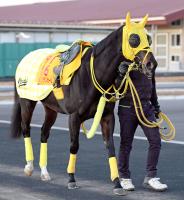  �ڥ���������S�ۥۥ������饹�������ϼ��Ӥ����滳�ؤ�꤬̥�ϡ�����Ĵ���ա�����Ϥ�����