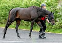  �ڥ���������S�۳赤�ߤʤ���ư�����乥Ĵ��6���ϥɥ��åץ��֥饤�ȡ�ʡ��Ĵ���դ�֤褦ư���Ƥ��פȾд�