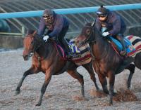  ��ͭ�ϵ�ǰ1�����ɤ��ۥ쥬�쥤�顡�饹��11��3��ʻ���������ɤ����Ȥ˾徺�֤����Ѳ�������С�