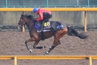  �ڥۡ��ץե�S1�����ɤ��ۥ��祦�ʥ󥬥�ա���ź�ؤ˥饹��11��4���ܳ��ա�ͽ���̤��