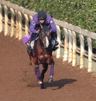  ��ī���գƣӡۥ��ɥޥ��䥯��å���̵���״���������ͧƻ�ա֤������֤��פ��׺�������ޥ���ˤ�Ŭ��