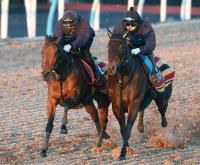  ��ͭ�ϵ�ǰ�ۥ쥬�쥤�顡�������Ϣ�Ƥء��˾��¿��ɼ�������˾�롡�رġֳμ¤��ɲ��׶��Υ����Ȥ�������