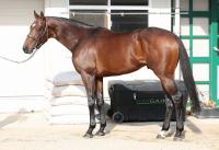  ������ŵ��ξ�ˤ�ߤΥ���饤�����ѥ󥰤�ͭ�ϵ�ǰ�ء�����ա֤��λ������滳�Ϲ礦�Ȼפ���