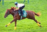  �ڥۡ��ץե�S1�����ɤ��ۥ�����ॢ�쥹�������פ˼�������������仿�ָ������Ȥʤ���