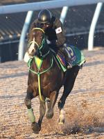  �ڥۡ��ץե�S1�����ۥ���ե���Ƚ饳�󥿥��Ȥδ���˾�赳��ִ����Ϥ������ɤ��ä���