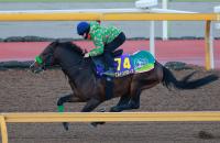  ��ͭ�ϵ�ǰ�ۥ���ȥ�Х��������������դ�Ǽ����ư���ֻ��פ�Фƾ�����ɾ���Ϥ��ʤ��ɤ��ä���