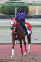  ��ͭ�ϵ�ǰ�������ɤ��� ���󥨥�ڥ顼����ϩ�ǥѥ�ե롡�ޥ��ͥ륨��ڥ顼����������ꥨ��������CW��������