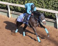  �ڥۡ��ץե�S�������ɤ��ۥ��㥹�ƥ���ӥ������饹��1�ϥ���10��8�ǡ������ɡ��Ȳ�Ĵ���ա֤��ޤ긫�ʤ�������