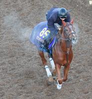  ��ͭ�ϵ�ǰ�ۥӥ������ɥ꡼�ब�����ӤΥե쥰�⡼�ͤǲ�����ꡡ���饿������夬���