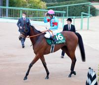  �ڥ���������S���糰�Ȥ��˺��ν��٤�!������ӥ��å�13��˸ͺ귽������֥����Ȥ򥸥��פ��봶���ǡġ�