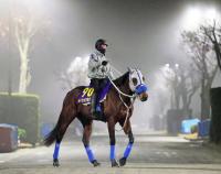  ��ͭ�ϵ�ǰ������֤˸����ž夬��Ͻ�Ĵ���ᥤ���祦���Х뤬��ǯ�����᤯���롡�رġ֥ϥߤ�ȴ��������Ƥ�����