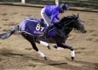  ��ͭ�ϵ�ǰ�۶���3���������ɽ��!���ߥ塼������ޥ���Ϻ�ϩ�ǥѥ�ե롡������Ĵ���ա֥����ӡ��λ��Ȥϰ㤦��