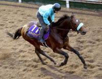  ��ͭ�ϵ�ǰ����Ĵ�������ʤ��ݤ����ǤǤ�����륵��饤�����ѥ󥰡�����Ĵ���ա�ư����褦�ˤʤäƤ��Ƥ����