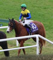  ��ī����FS�ۥ�������ɥΥå�2�塡��᡼���ƨ�������������ꥺ���ľ���ˡĵ�Υ�ϥ��ꥮ����ä���