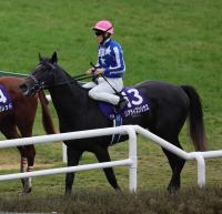  ��ī����FS�ۥꥢ�饤�����ꥦ����5�塡��¼��3��4�Ѥǥϥߤ���ʤ��ä��������ʤΤ����Τ�ġ�