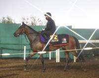  ��ͭ�ϵ�ǰ��Ϣ�Ƥ˸�����Ĵ���Ͻ�Ĵ���쥬�쥤��Ϻ�ϩ�ǥ��ԡ��ɴ��������ꡡ��¼Ĵ���ա��Τ��Ĥ�߽ФƤ�����