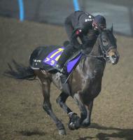  ��ͭ�ϵ�ǰ�ۥ��饿�������оݤ��鷫��夬�ꡡ�رġֽФ���ȿ������衹�����轵�ȤĤ��äƤ�����