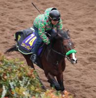  ��ͭ�ϵ�ǰ�ۥ���ȥ�Х�����  �����Υ֥�ʤ����رġ���������ѤߤϤ���Ȼפ���