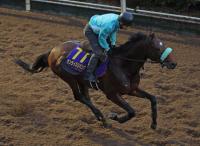  ��ͭ�ϵ�ǰ�ۥ���饤�����ѥ� ��ϩ�Ƿڤ��Ĵ��������աֵ�Υ��Ĺ���ɤ�������