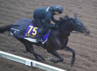  ��ͭ�ϵ�ǰ�ۥ����⥭����������������ɲ����ر�����Ƚ�ֻ�äƽ�Ĵ��