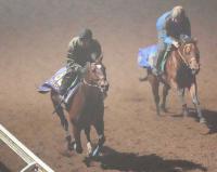  ��ͭ�ϵ�ǰ�ۥ����ƥ������� ����3���ܡ����Ѥ߸������