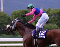  ��ͭ�ϵ�ǰ����˭���ᥤ���祦���Х�ǻ˾�12Ƭ�ܤνս������ץ����Ƥ�ĩ��