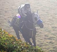  ��ͭ�ϵ�ǰ�ۥᥤ���祦���Х롡�ڤ�Ĵ�����رġ������ζ��Ϥ������������Ƥ���Ȼפ���