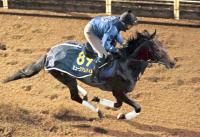  ��ͭ�ϵ�ǰ�ۥߥ塼������ޥ���Ͻ��°��ӡ�������աֻפ������Ƥ����̤��Ĵ�����Ǥ�����