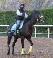  ��ͭ�ϵ�ǰver.2.0��̴������ư����