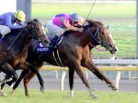  �ּ��Ԥ����׵�����Ĥ��᤿��˾Ū�ʾ����������������ӤǶðۤ�ǯ��8��8��!��ʪ������пȡ�ͭ�ϵ�ǰ����̾����