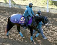  �ڥۡ��ץե�S�ۥ��㥹�ƥ���ӥ����ǵȲ����ˤ�2��G1Ϣ���ء��رġ֤ɤ�ʶ��ϤǤ�Ǥ�������