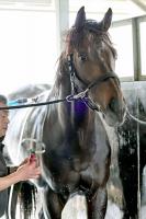  ���滳��㳲�۽��°��ӤΥͥӡ������ࡡ��ǯ3�夫�麣ǯ�Ͼ����ء��رġ��乥Ĵ�Ǥ����