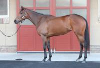  ��ͭ�ϵ�ǰ�ۥ쥬�쥤��95���������ʾ�!���Ϥΰ�