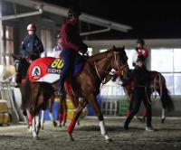  ��ͭ�ϵ�ǰ�ۥ��󥨥�ڥ顼��á���ƾ徺�ࡼ�ɡ��Τ�����Ū����ʬ����Ĺ��