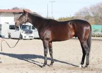  ��ͭ�ϵ�ǰ�ۥ����⥭�����80����ʢ����ˤޤ�;͵����