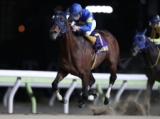  【大井・勝島王冠】3歳馬モジアナフレイバーが突き抜け重賞初V/地方競馬レース結果