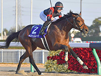  ルヴァンスレーヴ　日本調教馬初の海外ダートＧ１制覇へ