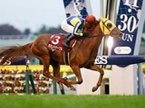  【JRA】セカンドテーブルが引退、乗馬に　2014年京王杯2歳S覇者
