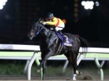  【JBCスプリント】(4日、浦和) JRA所属の出走予定馬および補欠馬について 