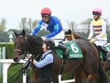  【海外競馬】名種牡馬シャマーダルが死亡　産駒にピナトゥボ、ロペデヴェガなどG1馬25頭