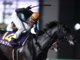  【盛岡・マイルCS南部杯】日本レコードVのアルクトスに田辺裕信騎手「昔からの、この馬とのレースが浮かんできます」