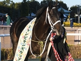  【サウジC】米国馬シャーラタンが1番人気、日本馬チュウワウィザードは5番人気タイ/ブックメーカー・オッズ