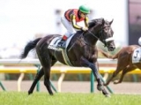  【東京5R新馬戦結果】東の一番星はコマンドライン　単勝1.1倍の圧倒的人気に応える