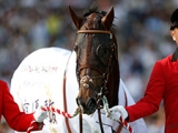  2015年の二冠馬ドゥラメンテが死亡、9歳　種牡馬としても活躍の矢先