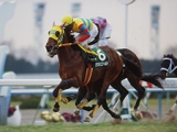  【海外競馬】アグネスゴールドが死亡　ブラジルでG1馬を複数頭輩出
