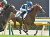  【東京5R新馬戦結果】アサマノイタズラの妹モカフラワーが最内から抜け出す