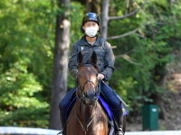  【菊花賞】ディヴァインラヴ　７４年ぶり牝馬制覇へ　福永「馬の可能性にかけたい」