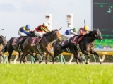  【香港マイル】グランアレグリア、ダノンキングリー、シュネルマイスターなど日本馬20頭が登録