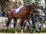  【次走】天皇賞・秋を制したエフフォーリアは有馬記念に向け放牧へ