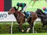 【海外競馬】日本馬4頭が香港国際競走の招待受諾　ラヴズオンリーユー、ダノンスマッシュなど